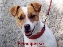 PRINCIPESSA